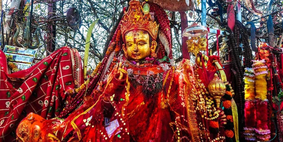 आज २०८० साल माघ ११ गते बिहीबारको राशिफल